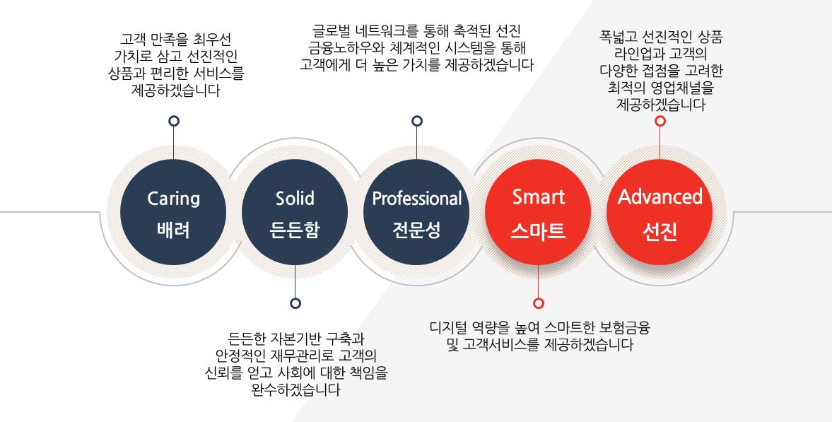 ABL생명은 고객의 더 나은 삶을 지원한다는 비전에 따라 5대 핵심 가치를 구성원들과 공유하고 실행해 지속적인 시너지를 만들어 갈 것입니다. 5대 핵심가치는 Caring(배려), Solid(든든함), Professional(전문성), Smart(스마트), Advanced(선진)으로, Caring, 배려는 고객 만족을 최우선 가치로 삼고 선진적인 상품과 편리한 서비스를 제공하겠습니다. Solid, 든든함은 든든한 자본기반 구축과 안정적인 재무관리로 고객의 신뢰를 얻고 사회에 대한 책임을 완수하겠습니다. Professional, 전문성은 글로벌 네트워크를 통해 축적된 선진 금융노하우와 체계적인 시스템을 통해 고객에게 더 높은 가치를 제공하겠습니다. Smart, 스마트는 디지털 역량을 높여 스마트한 보험금융 및 고객서비스를 제공하겠습니다. Advanced, 선진은 폭넓고 선진적인 상품 라인업과 고객의 다양한 접점을 고려한 최적의 영업채널을 제공하겠습니다. 
의 뜻을 담고 있습니다. 