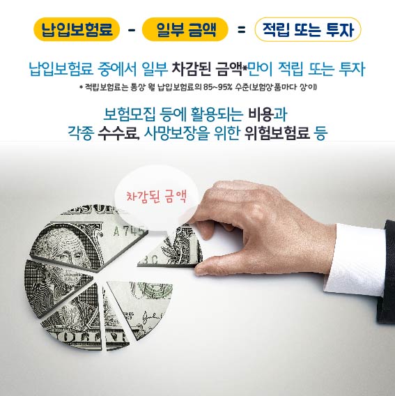 납입보험료 - 일부금액 = 적립 또는 투자, 납입보험료 중에서 일부 차감된 금액만이 적립 또는 투자 - 적립호험료는 통상 월 납입보험료의 85%~95% 수준(보험상품마다 상이), 보험모집 등에 활용되는 비용과 각종 수수료, 사망보장을 위한 위험보험료 등, 차감된 금액