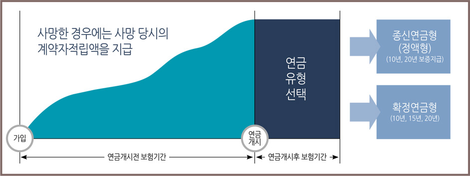 가입 후 연금개시전 보험기간동안 사망한 경우에는 사망 당시의 계약자적립액을 지급, 연금개시후 보험기간에는 연금유형선택(종신연금형(정액형),(10년, 20년 보증지급)), 확정연금형(10년, 15년 20년)