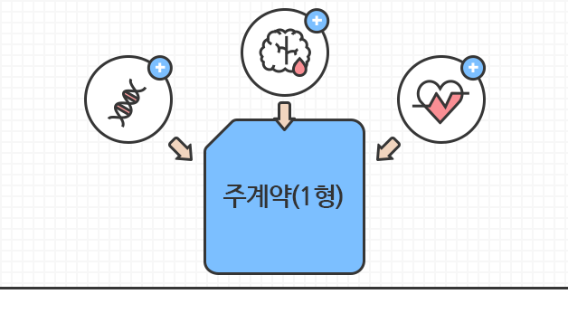 주계약으로 암, 뇌혈관질환, 심장질환 보장이 가능함을 보여주는 일러스트 이미지