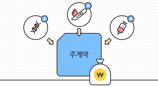 주계약에 각종 암 치료 항목이 추가되어 있음을 보여주는 일러스트