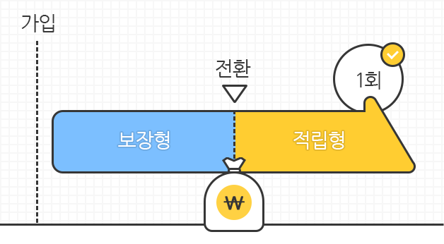 가입 10년 후 보장형에서 적립형으로 1회 전환이 가능함을 보여주는 이미지