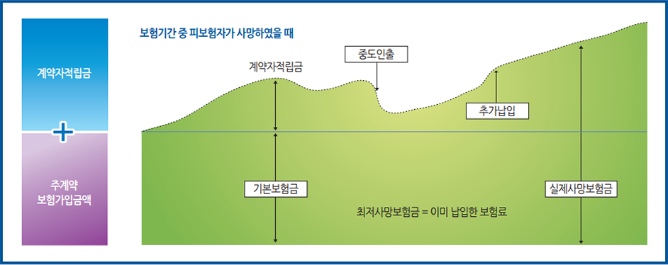 계약자적립금 + 주계약 보험가입금액, 보험긱간 중 피보험자가 사망하였을 때, 계약자적립금, 중도인출 및 추가납입, 기본보험금, 실제사망보험금, 최저사망보험금 = 이미 납입한 보험료