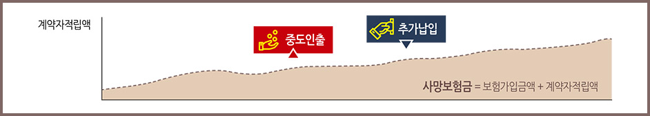 계약자 적립액, 중도인출, 추가납입 가능, 사망보험금 = 보험가입금액 + 계약자적립액